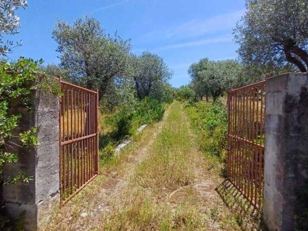 locale commerciale in vendita a Sorso