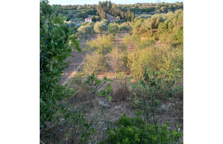 terreno agricolo in vendita a Sorso