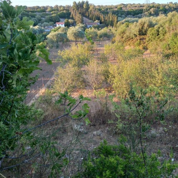 terreno agricolo in vendita a Sorso
