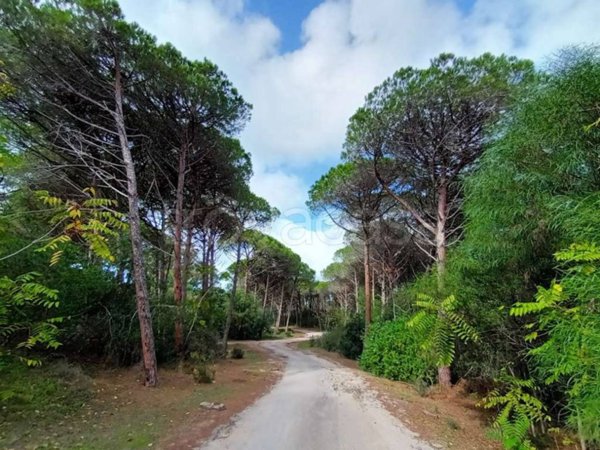 appartamento in vendita a Sorso in zona Arboriamar