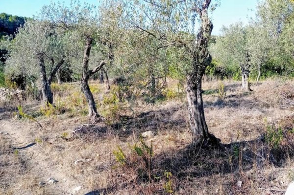 terreno edificabile in vendita a Sorso
