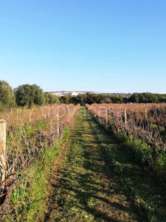 terreno agricolo in vendita a Sorso
