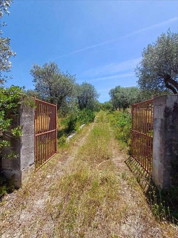 quadrivano in vendita a Sorso