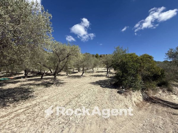 terreno agricolo in vendita a Sorso