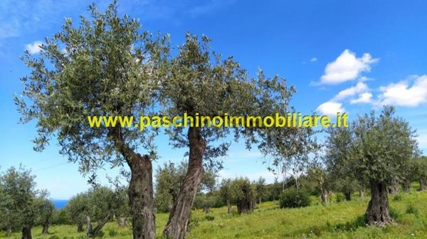 terreno agricolo in vendita a Sorso