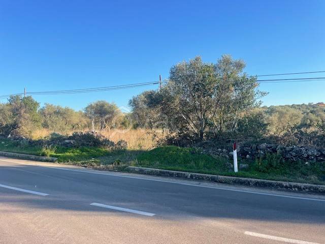 terreno agricolo in vendita a Sorso