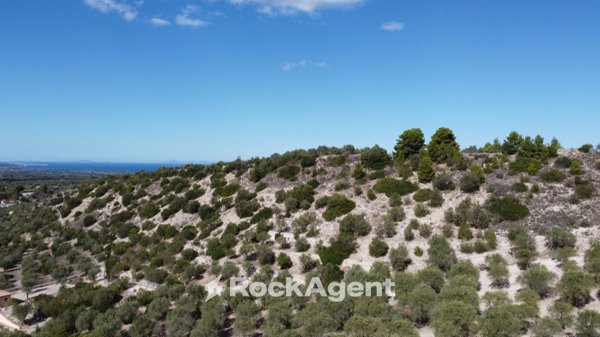 terreno agricolo in vendita a Sorso