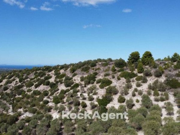 casa indipendente in vendita a Sorso