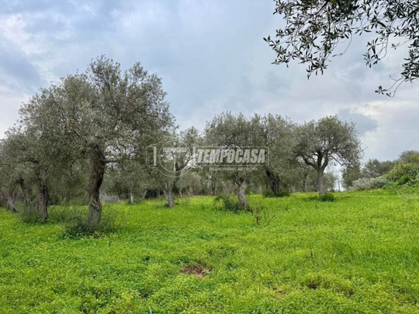 terreno agricolo in vendita a Sorso