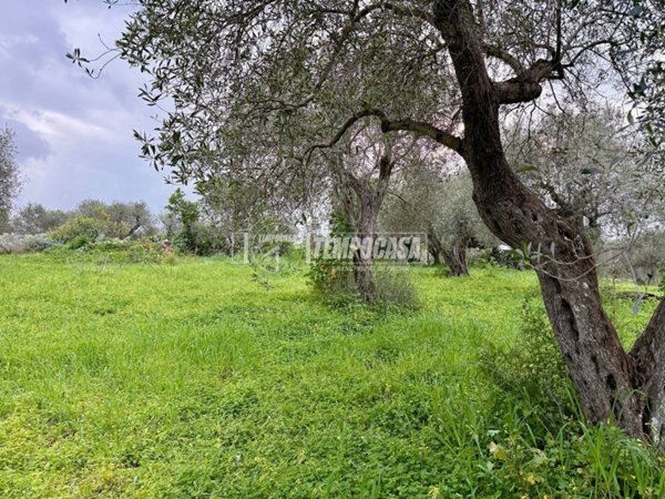 terreno agricolo in vendita a Sorso