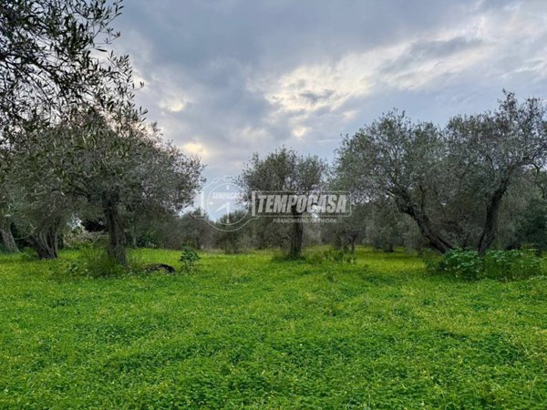 terreno agricolo in vendita a Sorso