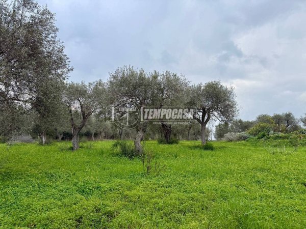 terreno agricolo in vendita a Sorso