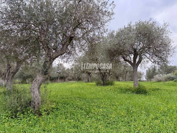 terreno agricolo in vendita a Sorso