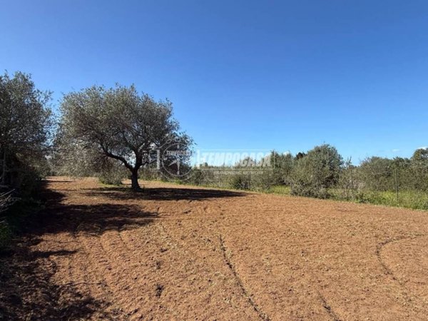 terreno in vendita a Sorso