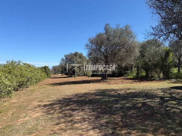 terreno agricolo in vendita a Sorso