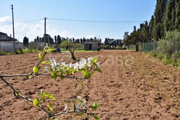 terreno agricolo in vendita a Sorso