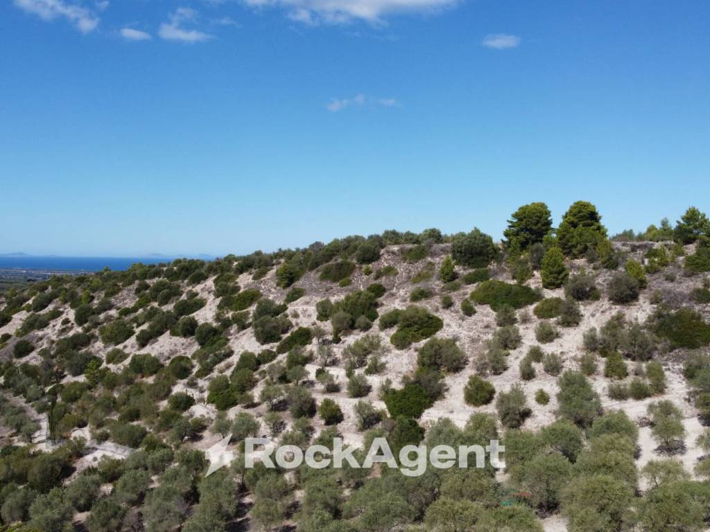 terreno agricolo in vendita a Sorso