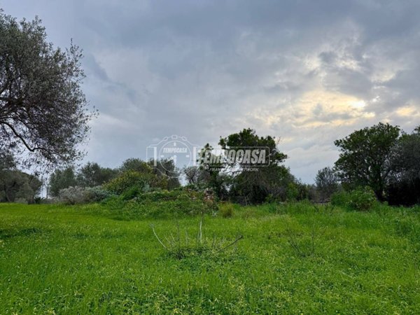 terreno agricolo in vendita a Sorso