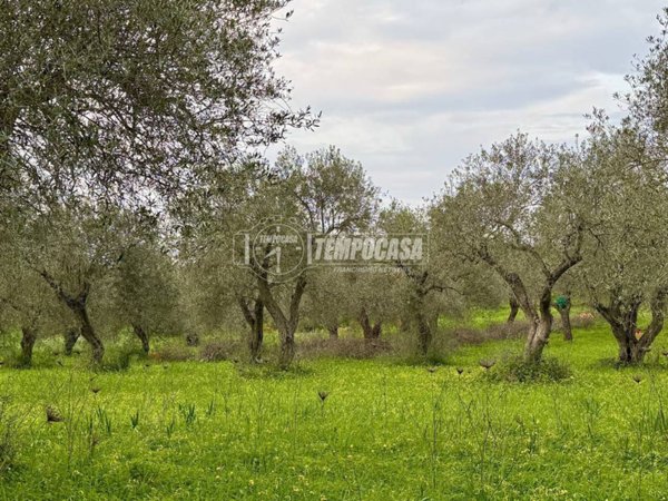 terreno in vendita a Sorso