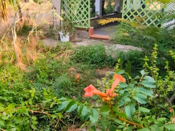 casa indipendente in vendita a Sorso