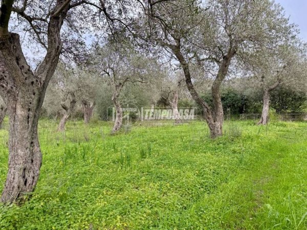 terreno agricolo in vendita a Sorso