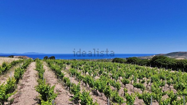 terreno in vendita a Sorso