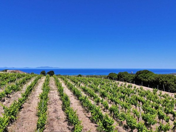 terreno in vendita a Sorso