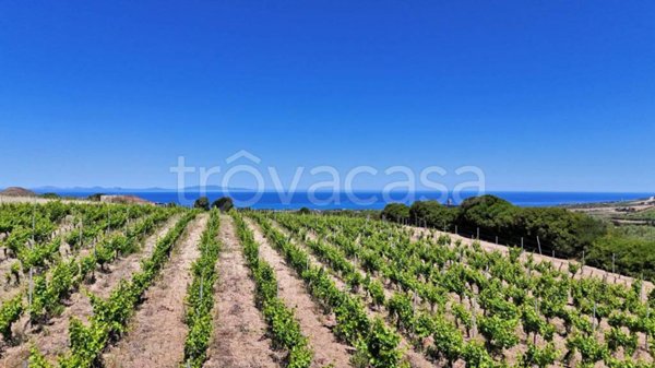 terreno in vendita a Sorso