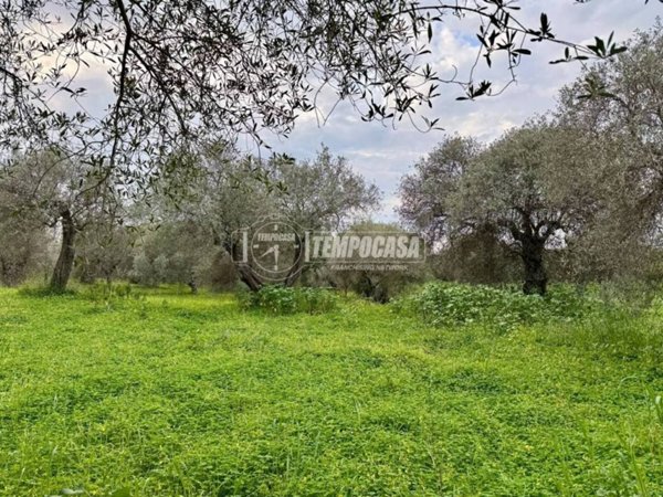 terreno in vendita a Sorso