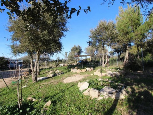 terreno agricolo in vendita a Tempio Pausania