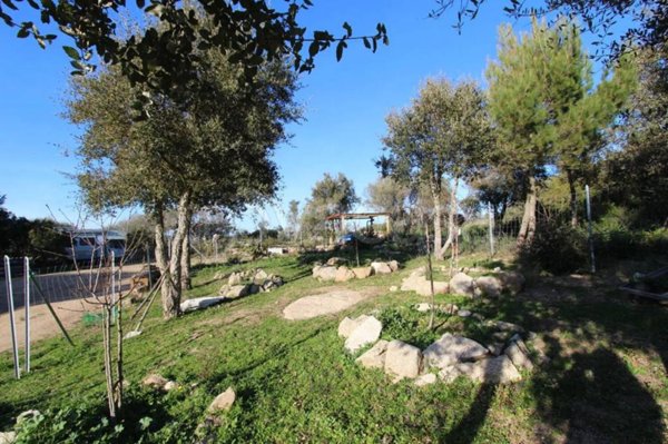 terreno agricolo in vendita a Tempio Pausania