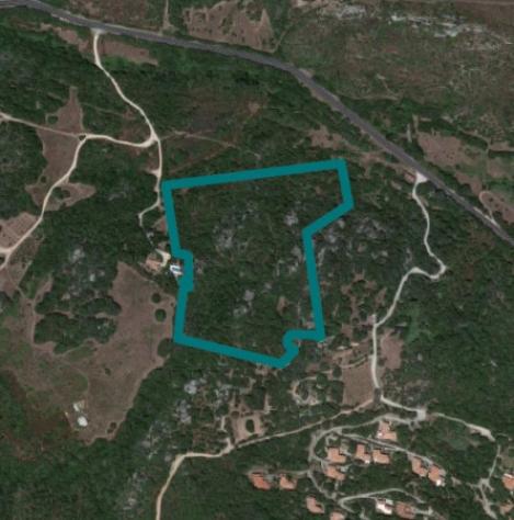 terreno agricolo in vendita a Tempio Pausania in zona San Pasquale