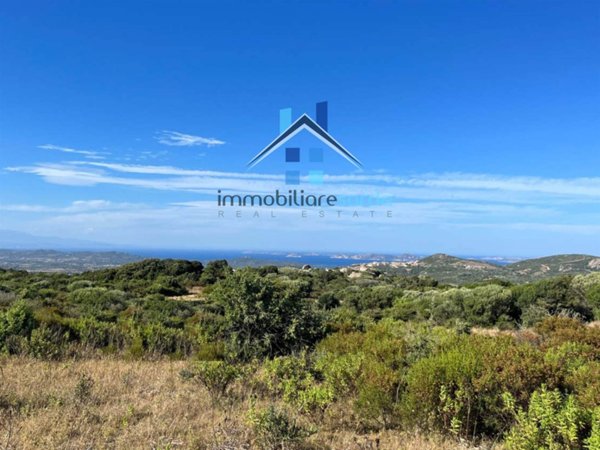 terreno agricolo in vendita a Tempio Pausania