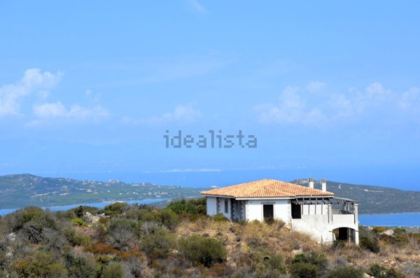 esavano in vendita a Tempio Pausania
