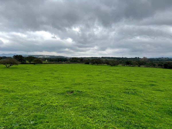 terreno agricolo in vendita a Tempio Pausania