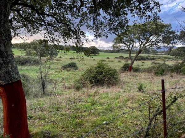 terreno agricolo in vendita a Tempio Pausania