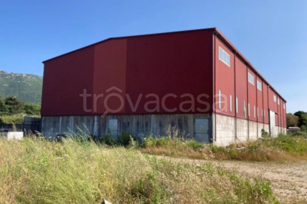 locale commerciale in vendita a Tempio Pausania