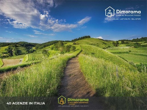 pentavano in vendita a Tempio Pausania