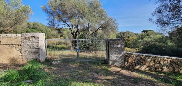 terreno agricolo in vendita a Tempio Pausania