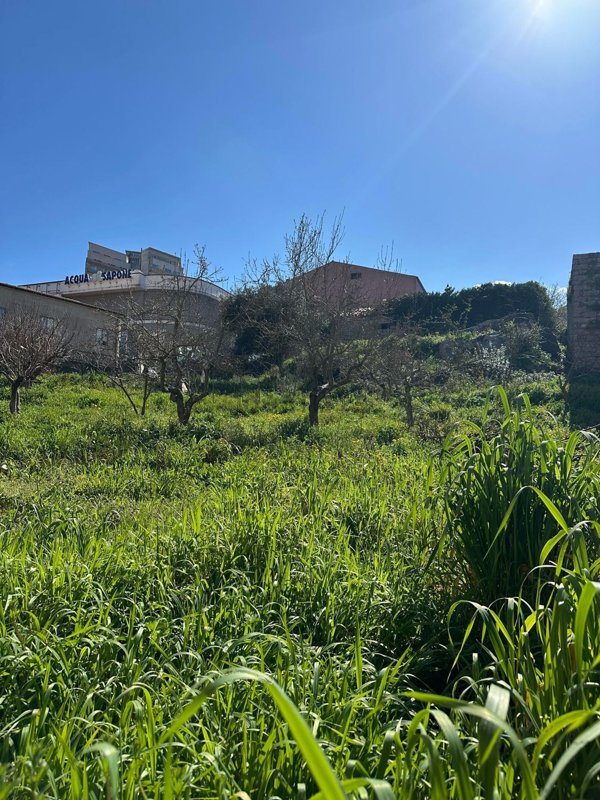 terreno edificabile in vendita a Tempio Pausania