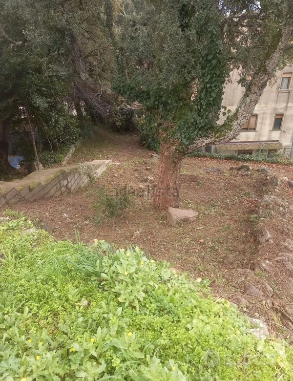 casa indipendente in vendita a Tempio Pausania