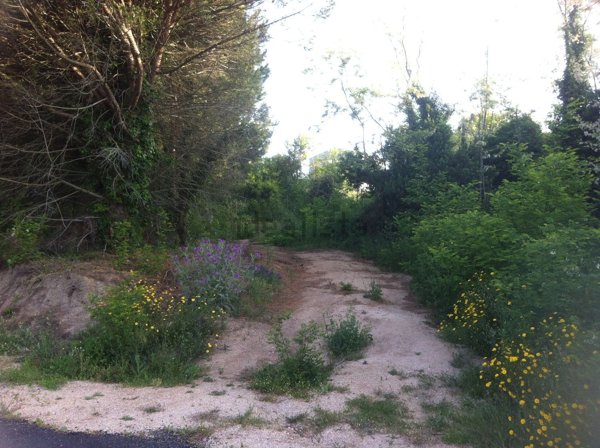 appartamento in vendita a Tempio Pausania