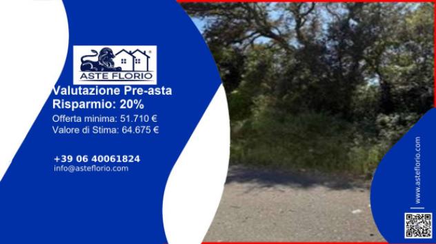 terreno agricolo in vendita a Tempio Pausania