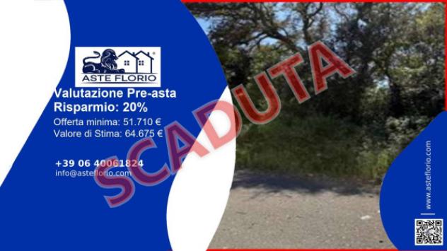 terreno agricolo in vendita a Tempio Pausania