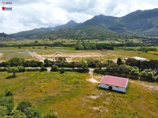 locale commerciale in vendita a Tempio Pausania