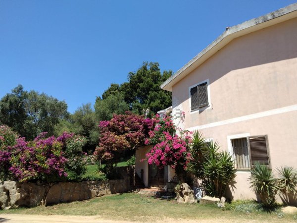 appartamento in vendita a Tempio Pausania