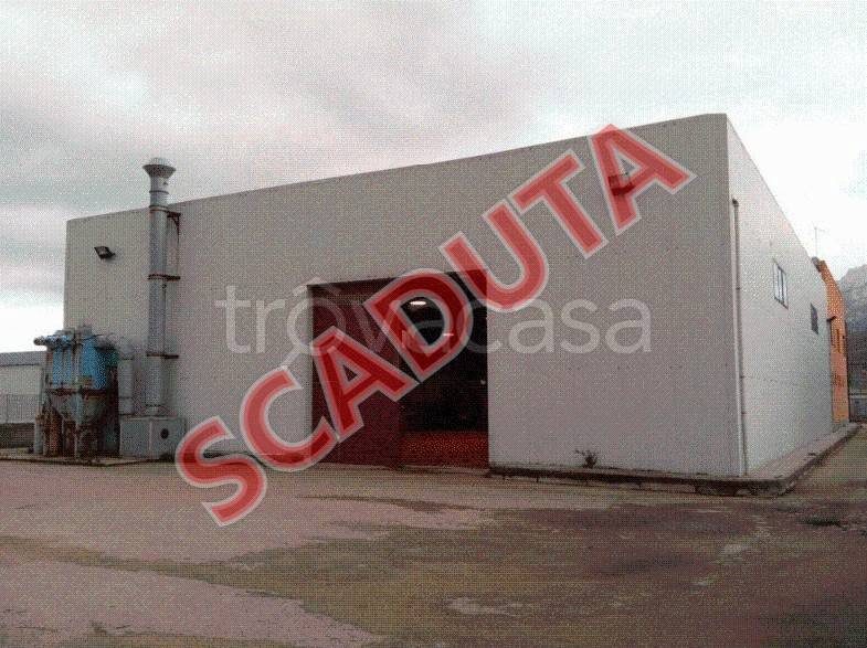 trivano in vendita a Tempio Pausania