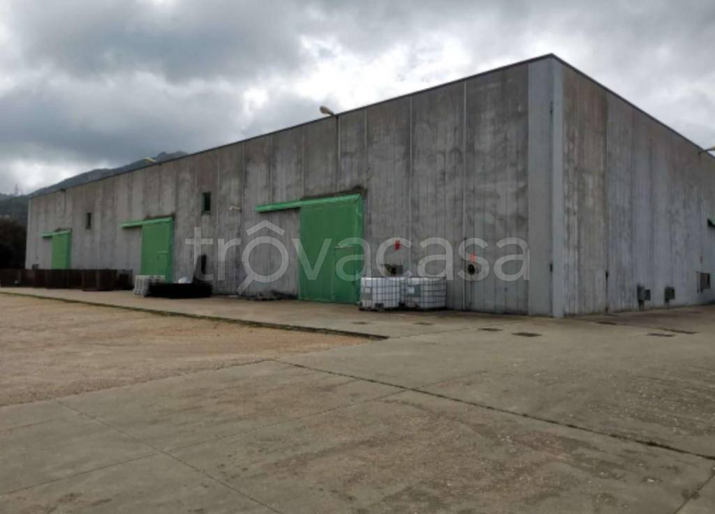 capannone in vendita a Tempio Pausania