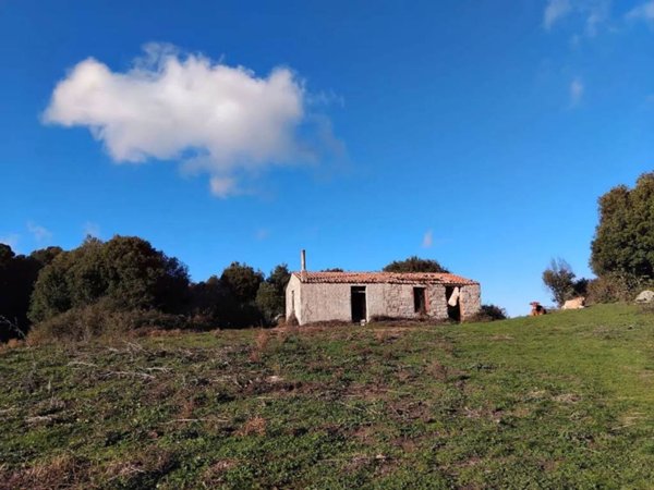 casa indipendente in vendita a Tempio Pausania