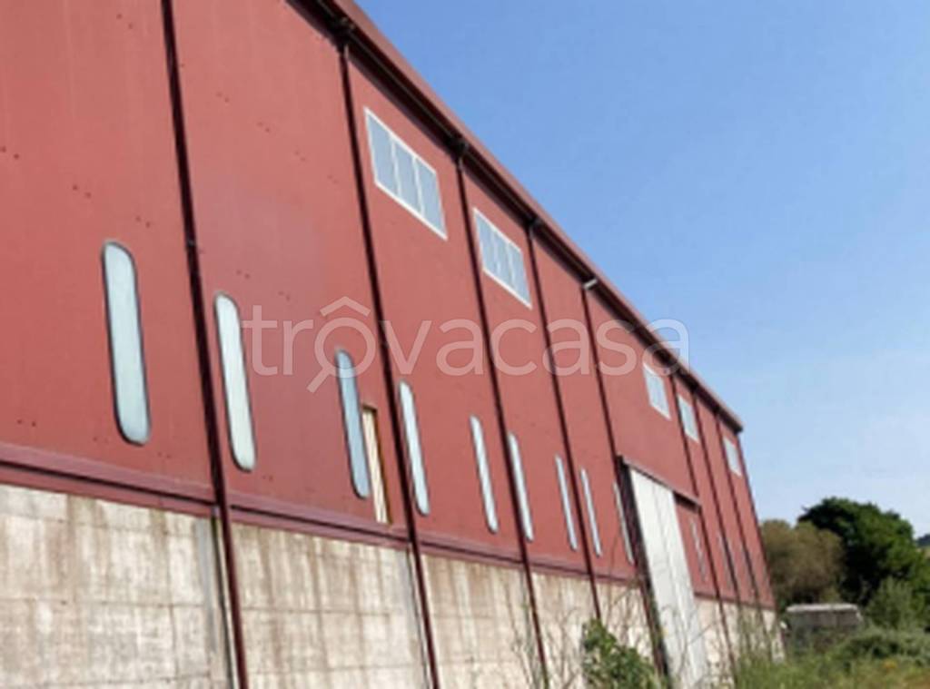 locale commerciale in vendita a Tempio Pausania